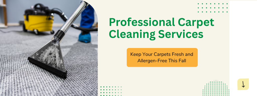Professional carpet cleaning services Christchurch team deep cleaning carpet to remove dust and stains