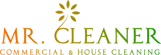 Mr Cleaner Limited